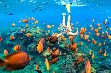 Blue Lagoon Snorkeling